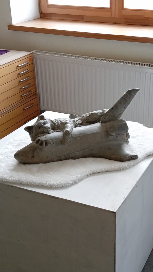 Helena's diploma project at graduation — cat on Space Shuttle Discovery